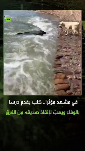 bEnI TSs8dvxIYpZ.jpg