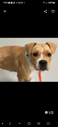 GlXWAcFW8AA NdV?format=jpg.jpg