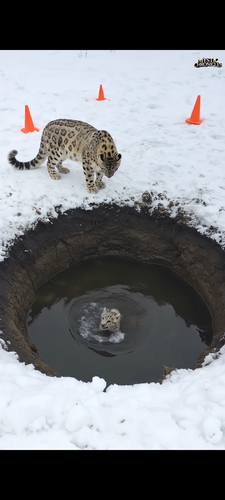 Screenshot 20250413 143234.Lark Player.png