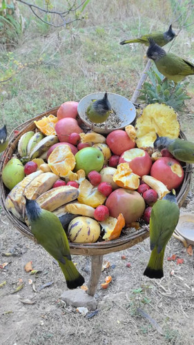 TOAp ruuoFYz0K3S.jpg