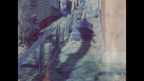 vlcsnap 2025 04 14 00h25m01s724.png