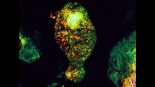 vlcsnap 2025 04 14 00h38m15s432.png