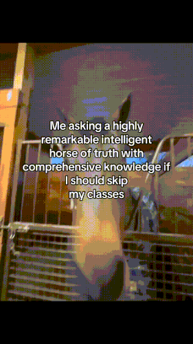 tiktok kwasnakapustakiszona 7487605396148849942.gif