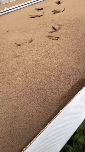 94M xlRsVJByByL3.jpg