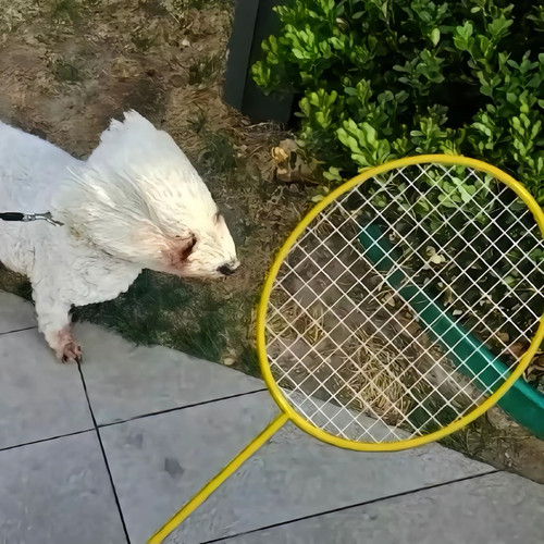 Screenshot 20250412 151752 com.ss.android.ugc.aweme edit 1406392186108314.jpg