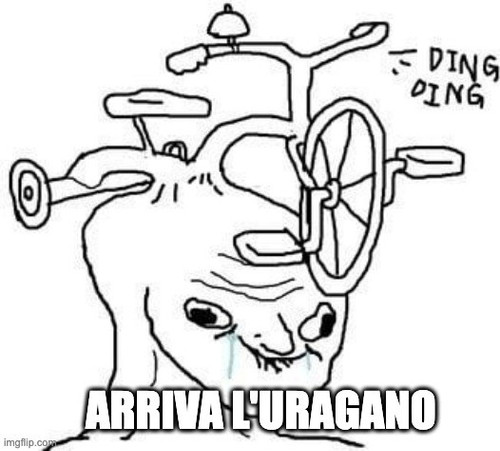 9qr4ay.jpg