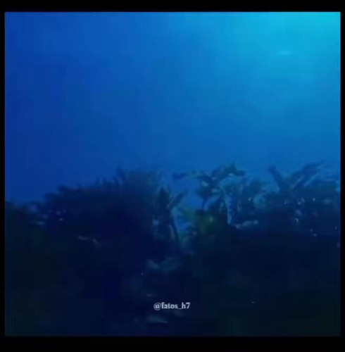 d18eXWrujkM8lmiO.jpg