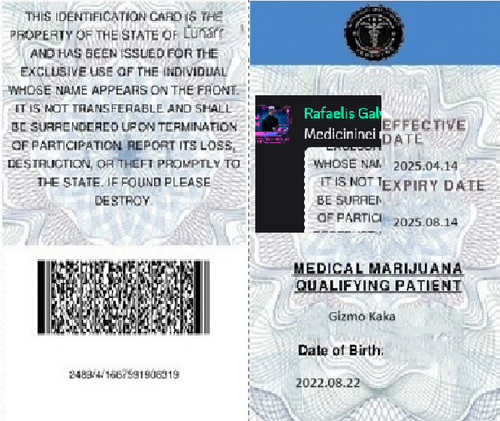 Screenshot 2025 04 14 141230.png