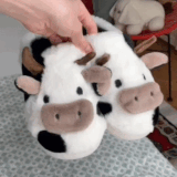 IMG 0629.gif