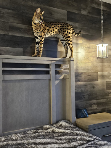 490292557 122166877544321804 514151180103864412 n.jpg