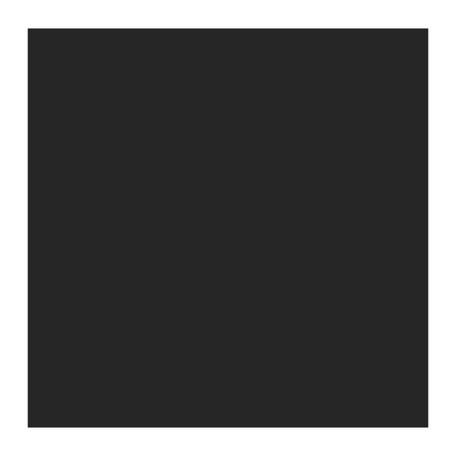  0019 SCHWARZ.png