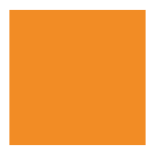  0007 ORANGE.png