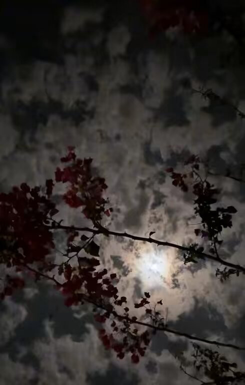 CuLjZAS40 MfBaO6.jpg