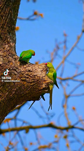 CbeQ D82viRvSHKm.jpg