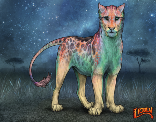 lioden wardrobe (51).png