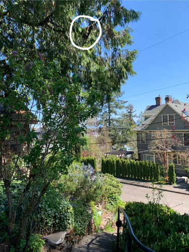 76635029683 FC08B1E9 13CB 48F9 A293 91947E9EDDDC.jpg