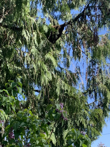 76634962219 611B6833 4F69 4BD4 A6C8 8C210D1E98F4.jpg