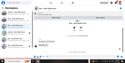 rosa fake.png