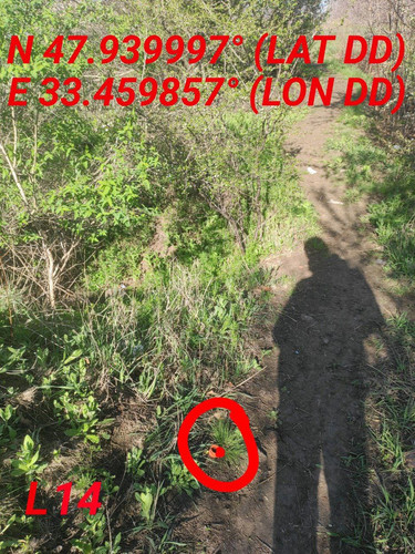 5469830856970465574.jpg