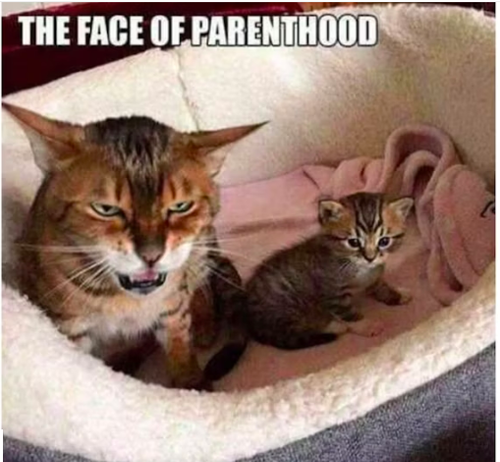 Parenting meme 64.png
