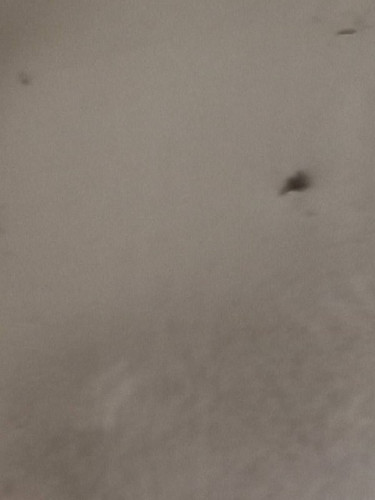 dheexnsOhPemC37QiBB tMDDN43Xb xZVLJCzuFE lO49NZfJIL PTZQW5IGsfBH72dJIhd7QGuEvidwJWsusHU5TYZyNImb6Zg .jpg