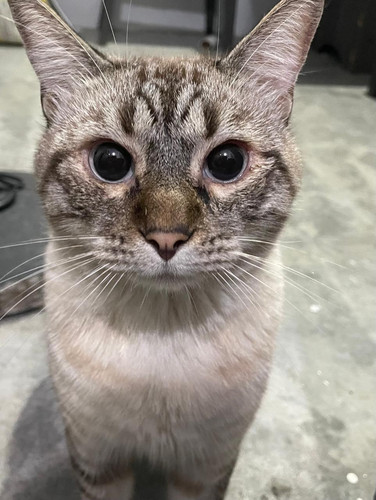 IMG 20250406 WA0003.jpg