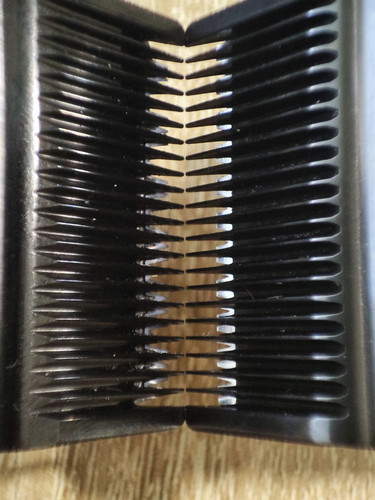 IMG 20250327 122359.jpg