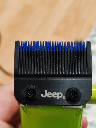 IMG 20250327 142635.jpg