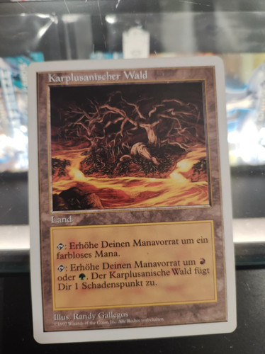 karplusanischer wald.jpg