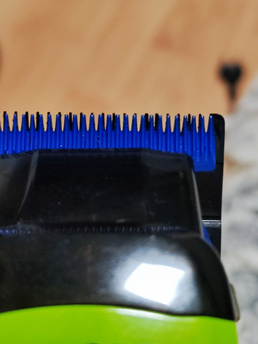 IMG 20250327 142614.jpg