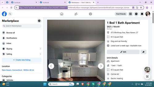 Screenshot 2025 04 14 062511.png