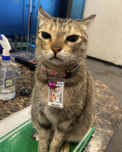 490026915 561177706998658 1394648159170428313 n.jpg