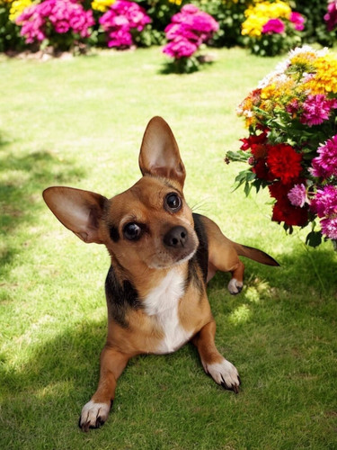 Photoroom 20250413 191149.jpg