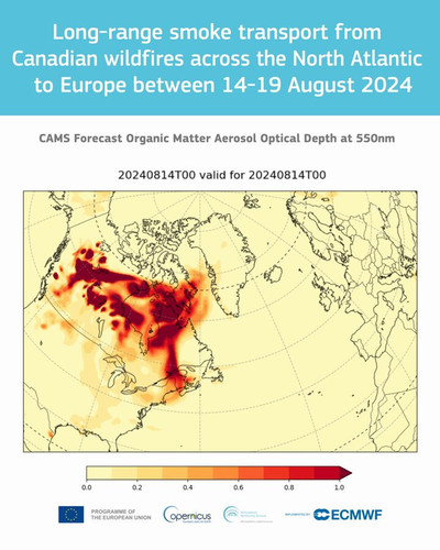 UKI8dI9gKaKYR 39.jpg