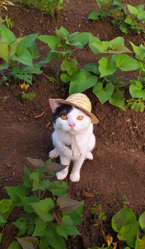 490479962 1212304080900940 5535427837962047302 n.jpg