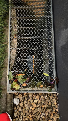 5bb24cf7 9e76 4288 85ad 7895f2203b8c.jpg