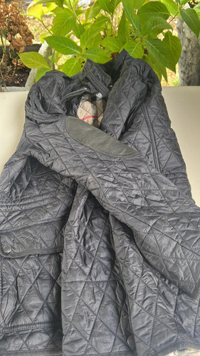 e656600c d1d2 4f21 99ce 478922d63367.jpg