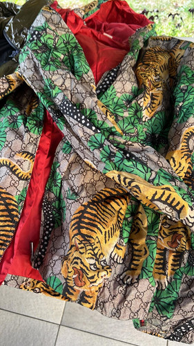 67b17bcc d7cd 4512 850c f0b7e6a6f9a0.jpg