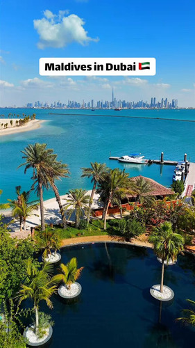 9duXMjN sXwixLlH.jpg