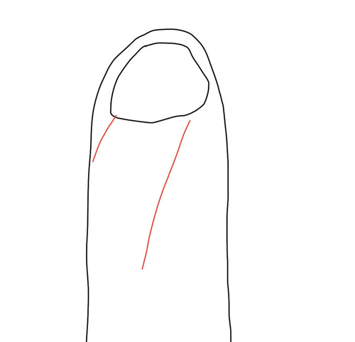 Screenshot 20250415 112737.jpg