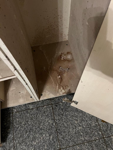 c9fd6fa2 9f29 41d9 94f3 982a8e57d368.jpg