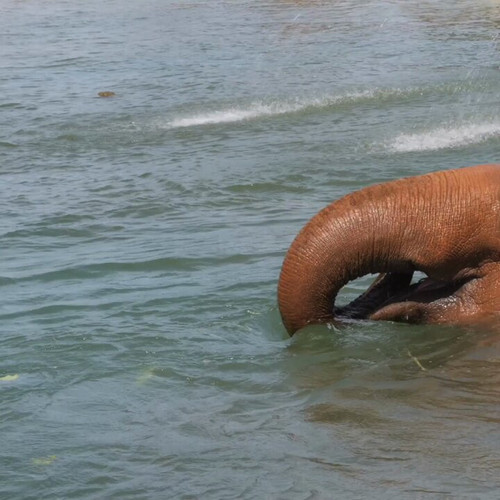 LDw Zp7E34A7GMuP.jpg