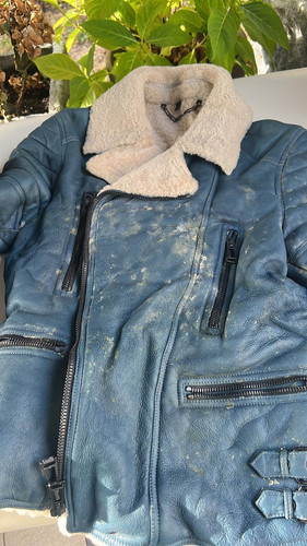 8522dc6b 246e 4211 8887 08ee4a4f9b5c.jpg