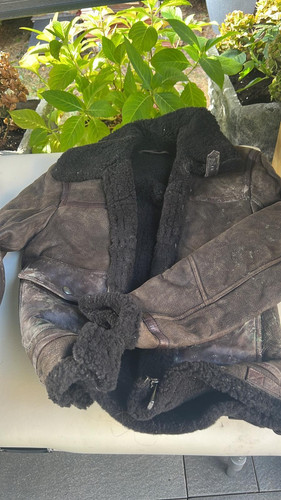 310d70d7 f0cc 437b 89b1 4726d39747cc.jpg