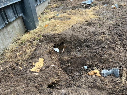 8868d855 1e96 4394 9d87 903ced3edd73.jpg