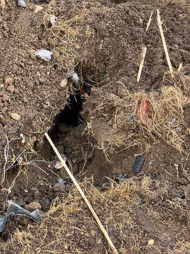 601dcf8b a1c5 4eae 948b 1fe1295fe37a.jpg