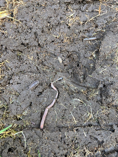 40dca495 7f7e 41e4 b905 d4320a6e8930.jpg