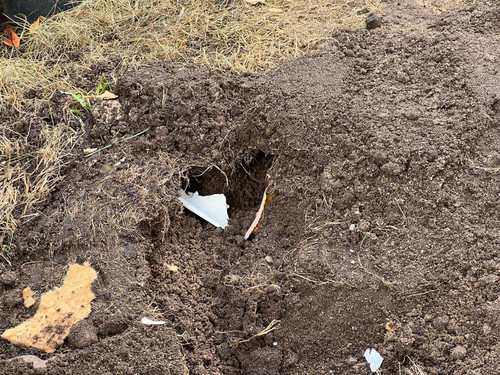 bf671ce7 decb 4c18 a67f 708ce7645855.jpg