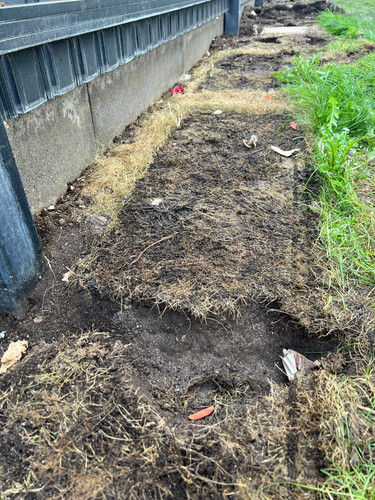 26f9e9da f591 473b 900d f4740963fdbf.jpg