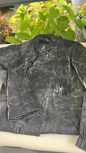 69a762b4 0b37 45b9 a23c 84d5573ca97f.jpg